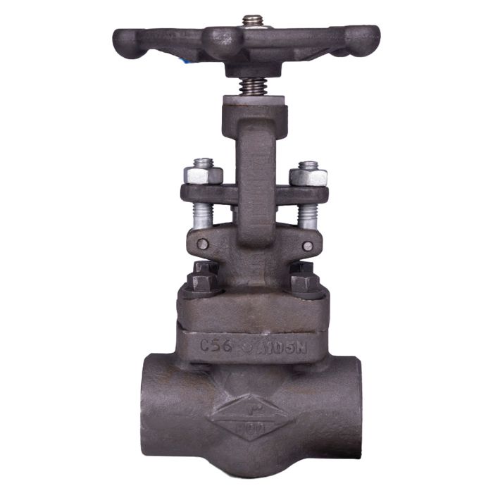 Globe Valve